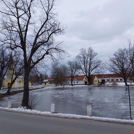 Ubytovani U Dvoraku Veselí nad Lužnicí Exteriör bild